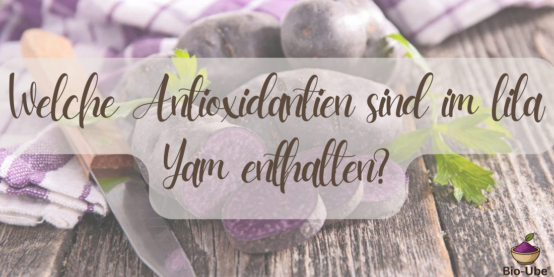 Welche Antioxidantien sind im lila Yam enthalten?