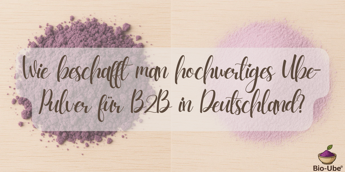 Wie beschafft man hochwertiges Ube-Pulver für B2B in Deutschland?